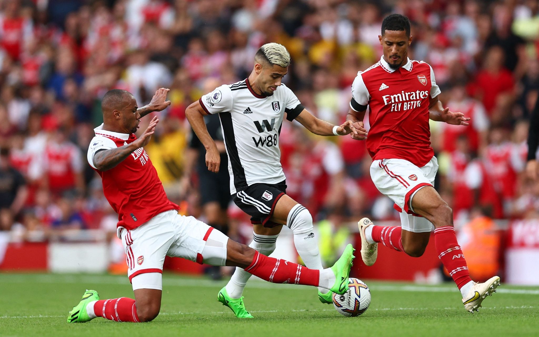 罗的脸部 罗的脸部