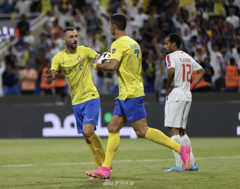 的对抗体系 的对抗体系